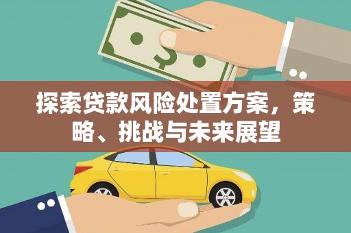 友好探索贷款风险处置方案，策略、挑战与未来展望