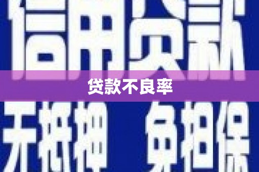 友好贷款不良率