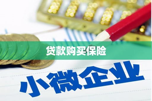 友好贷款购买保险