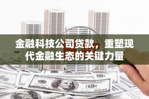 友好金融科技公司贷款，重塑现代金融生态的关键力量