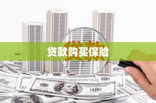 友好贷款购买保险
