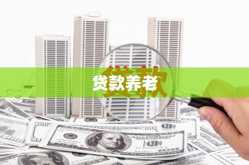 友好贷款养老
