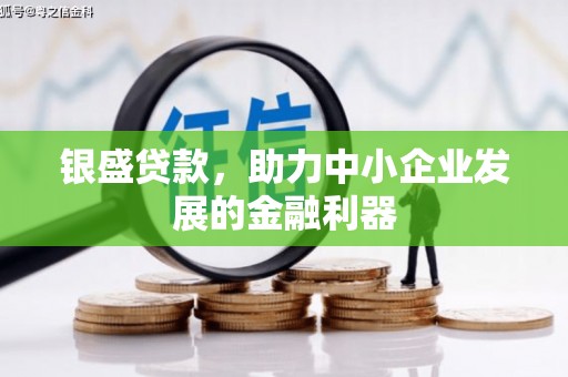 友好银盛贷款，助力中小企业发展的金融利器