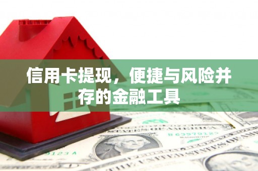 友好信用卡提现，便捷与风险并存的金融工具