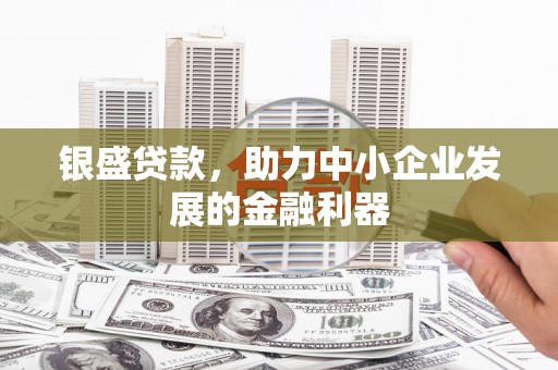 友好银盛贷款，助力中小企业发展的金融利器