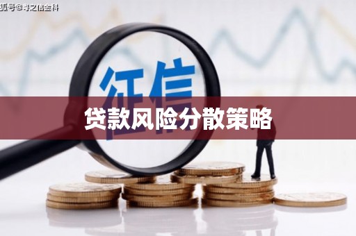 友好贷款风险分散策略