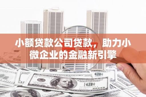 友好小额贷款公司贷款，助力小微企业的金融新引擎