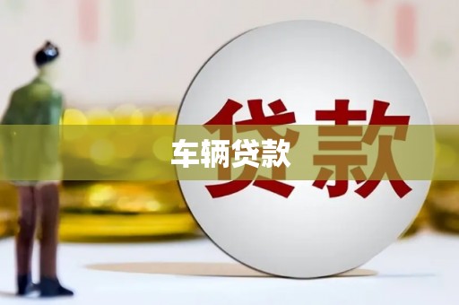 友好车辆贷款