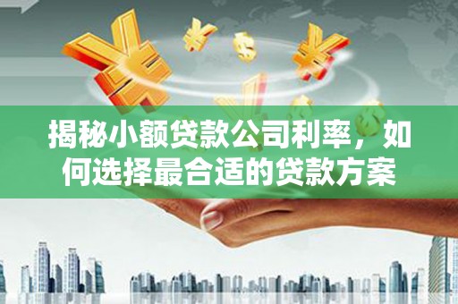 友好揭秘小额贷款公司利率，如何选择最合适的贷款方案
