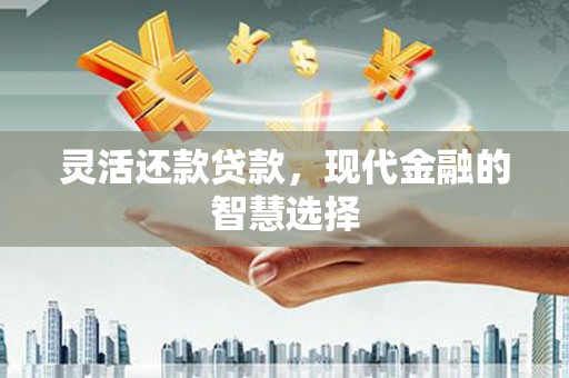 友好灵活还款贷款，现代金融的智慧选择