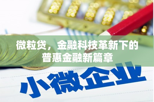 友好微粒贷，金融科技革新下的普惠金融新篇章