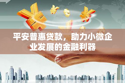 友好平安普惠贷款，助力小微企业发展的金融利器