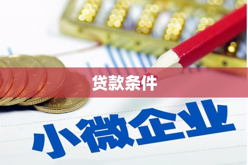 友好贷款条件