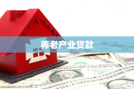 友好养老产业贷款