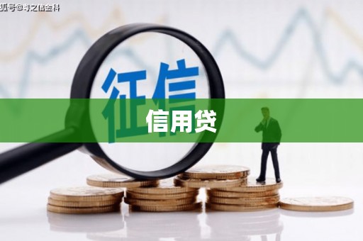 友好信用贷