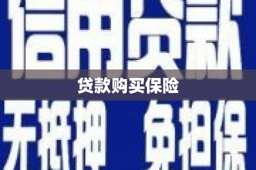 友好贷款购买保险