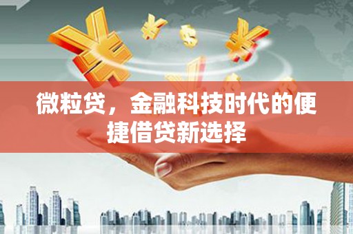 友好微粒贷，金融科技时代的便捷借贷新选择