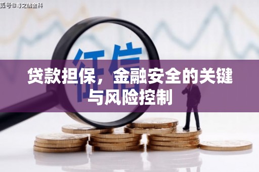 友好贷款担保，金融安全的关键与风险控制