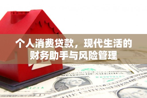 友好个人消费贷款，现代生活的财务助手与风险管理