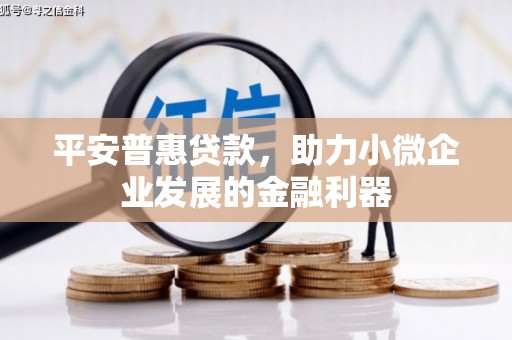 友好平安普惠贷款，助力小微企业发展的金融利器