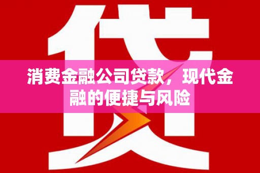 友好消费金融公司贷款，现代金融的便捷与风险