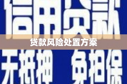 友好贷款风险处置方案